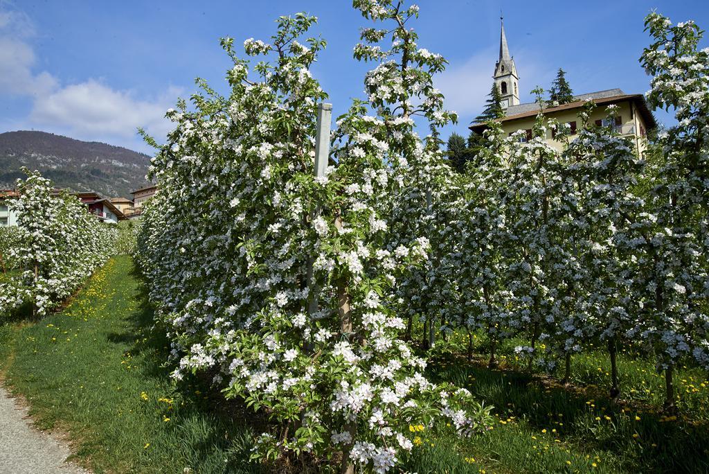 B&B La Casa Del Sole San Michele allʼAdige 外观 照片