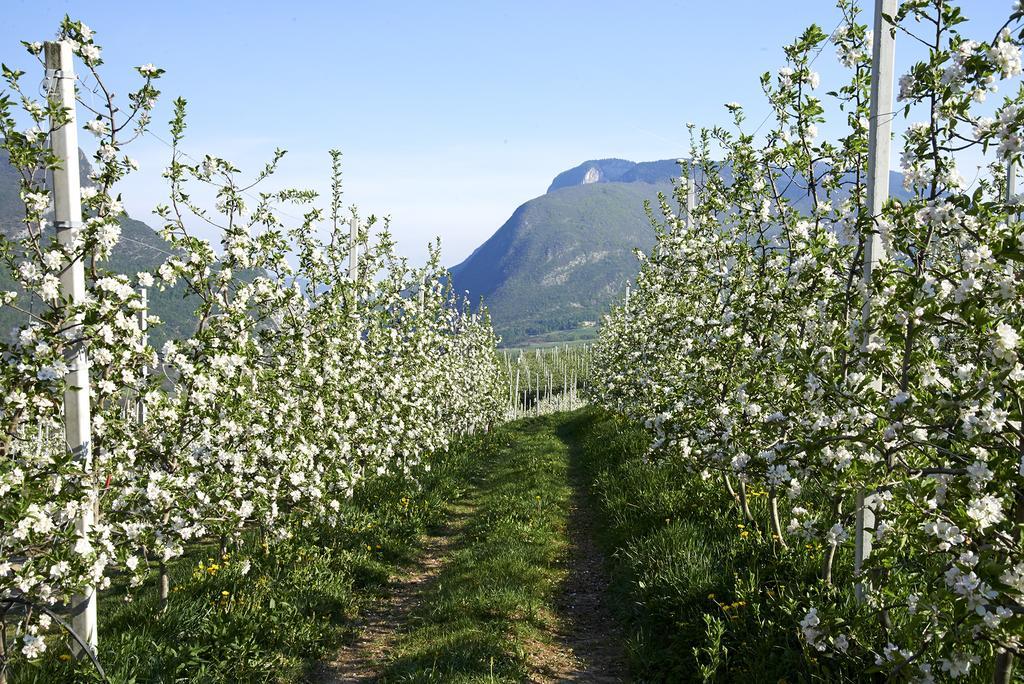B&B La Casa Del Sole San Michele allʼAdige 外观 照片
